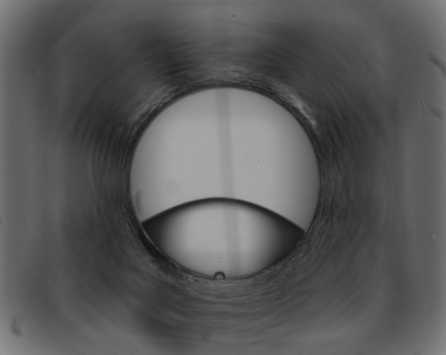 X0000093580027200710151006