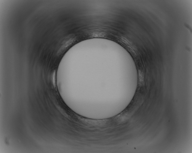 X0000093580028200710151006