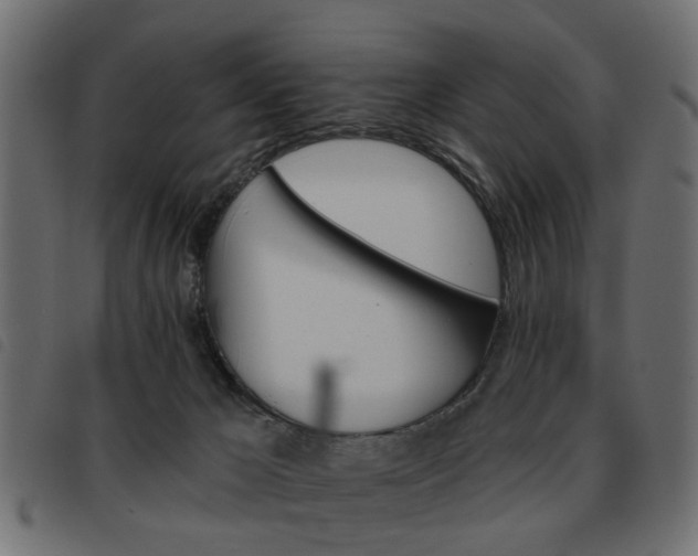 X0000093580029200710151006