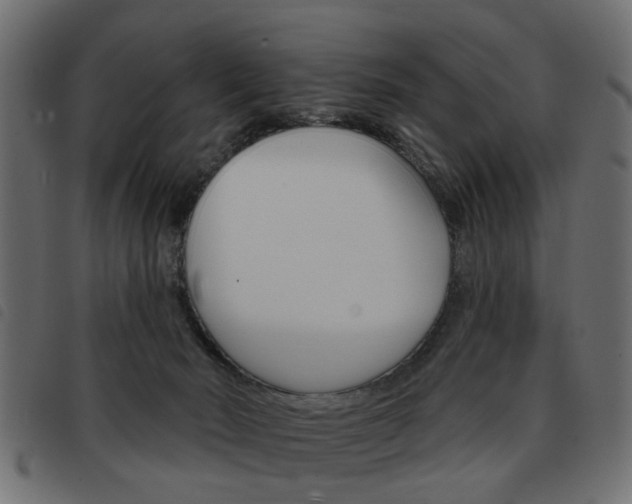 X0000093580030200710151006