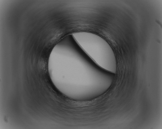 X0000093580031200710151006
