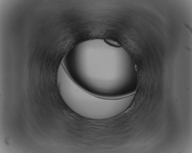 X0000093580033200710151006