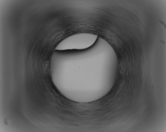 X0000093580034200710151006