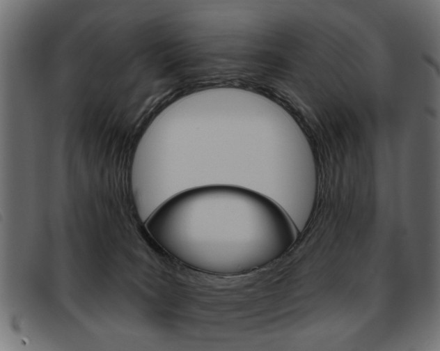 X0000093580035200710151006