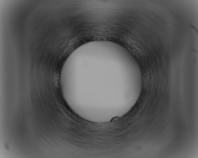 X0000093580038200710151006