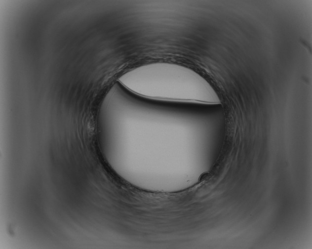X0000093580040200710151006