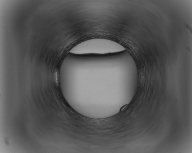 X0000093580042200710151006