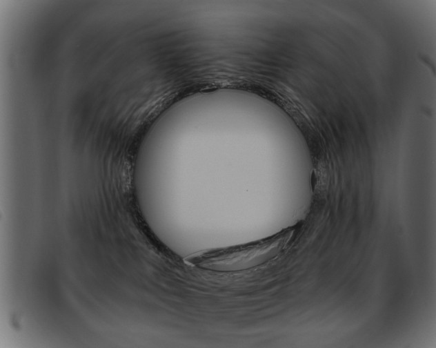 X0000093580043200710151006