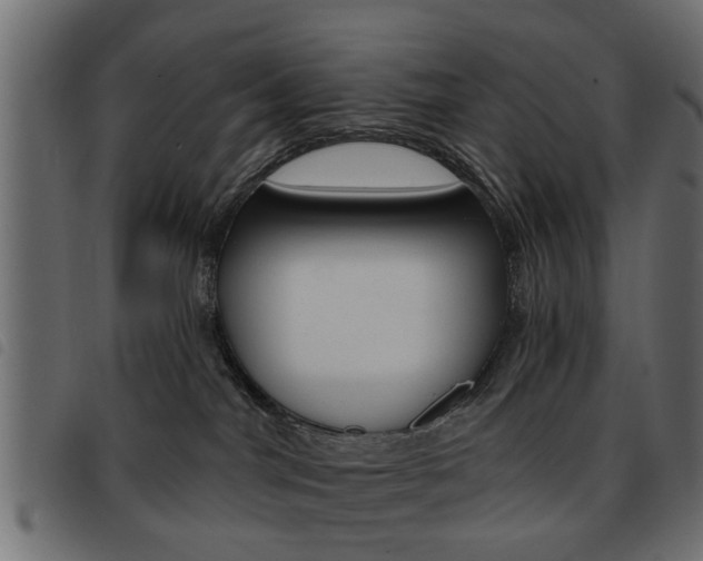 X0000093580044200710151006