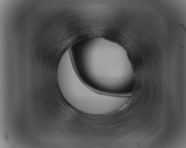 X0000093580045200710151006