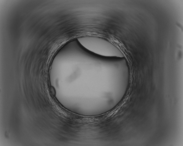 X0000093580049200710151005