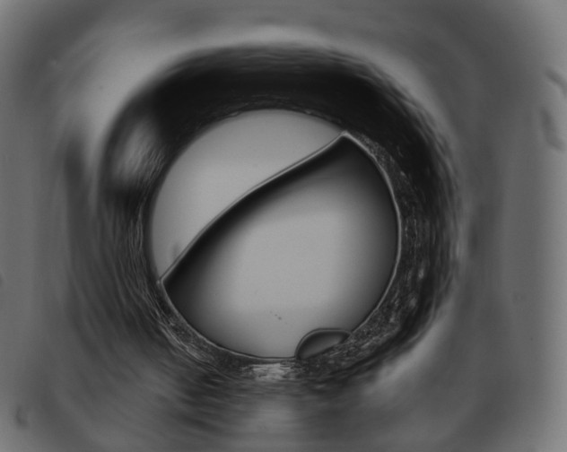X0000093580050200710151005