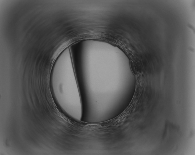 X0000093580051200710151005