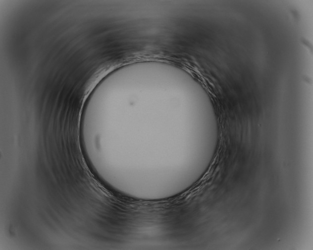 X0000093580052200710151005