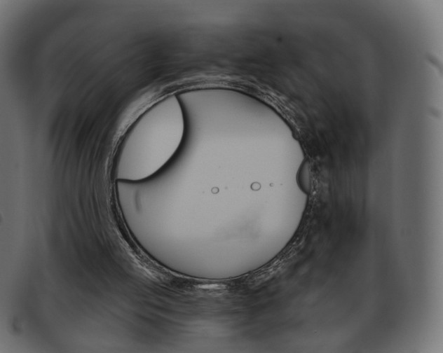 X0000093580053200710151005