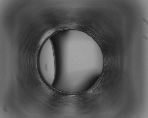X0000093580054200710151005