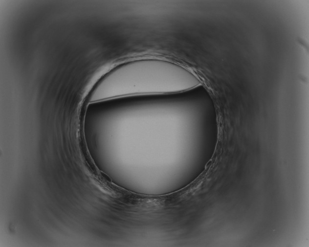 X0000093580056200710151005
