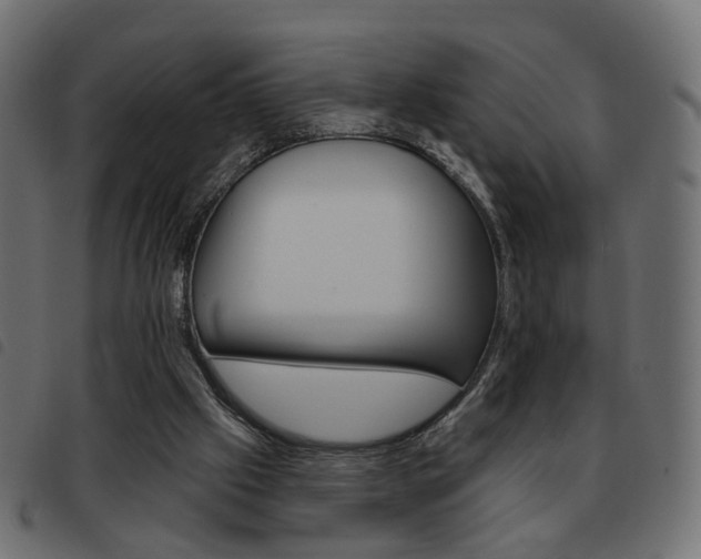 X0000093580057200710151005