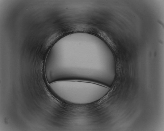 X0000093580058200710151005