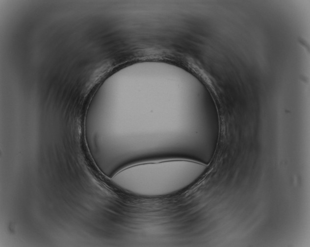 X0000093580059200710151005