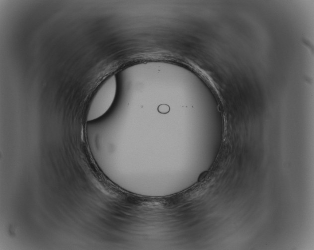 X0000093580061200710151005