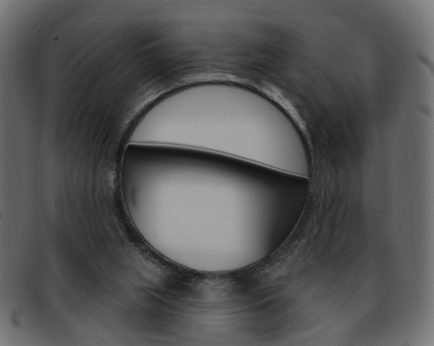 X0000093580063200710151005