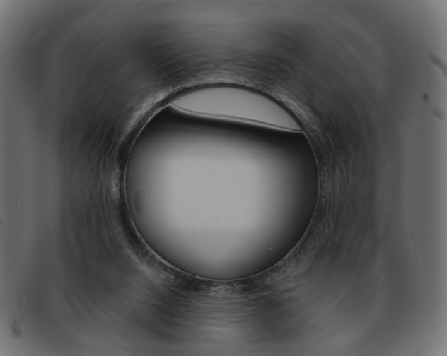 X0000093580064200710151005