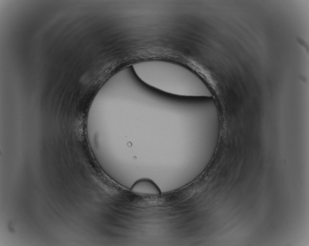 X0000093580065200710151005