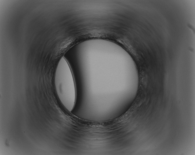 X0000093580066200710151005