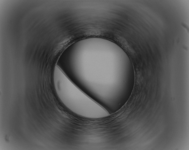 X0000093580068200710151005