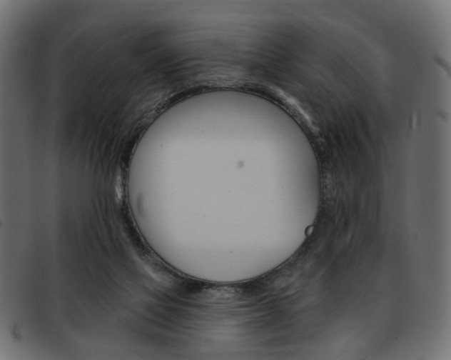 X0000093580069200710151005