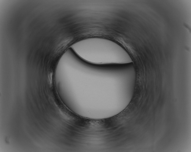 X0000093580070200710151005
