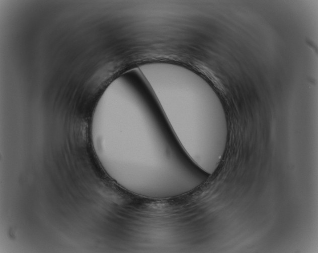 X0000093580071200710151005