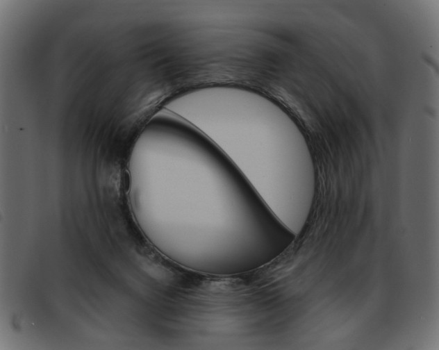 X0000093580072200710151005