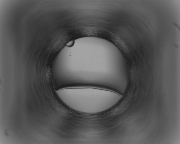 X0000093580073200710151005