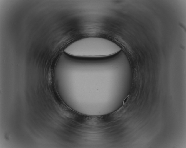 X0000093580074200710151006