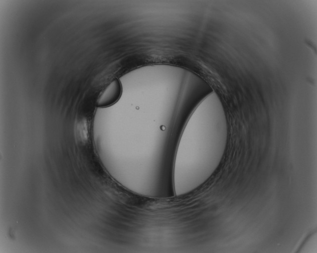 X0000093580075200710151006