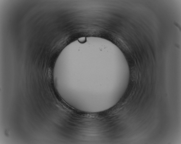 X0000093580077200710151006