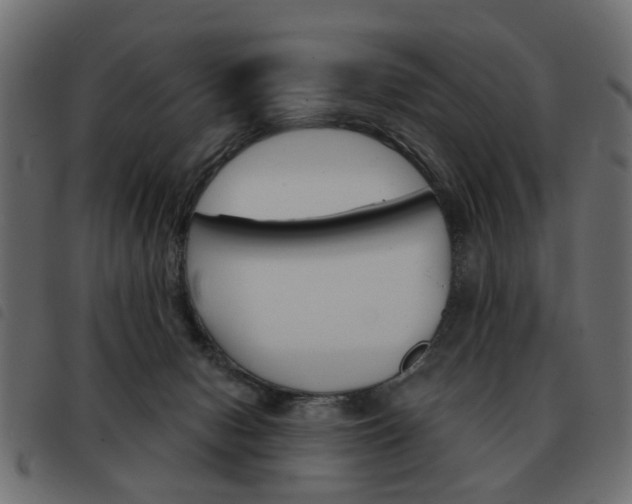 X0000093580078200710151006