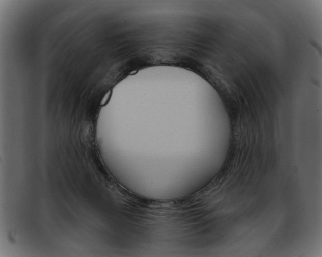 X0000093580079200710151006