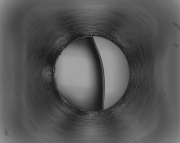 X0000093580080200710151006