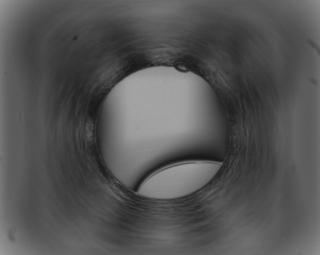 X0000093580081200710151006