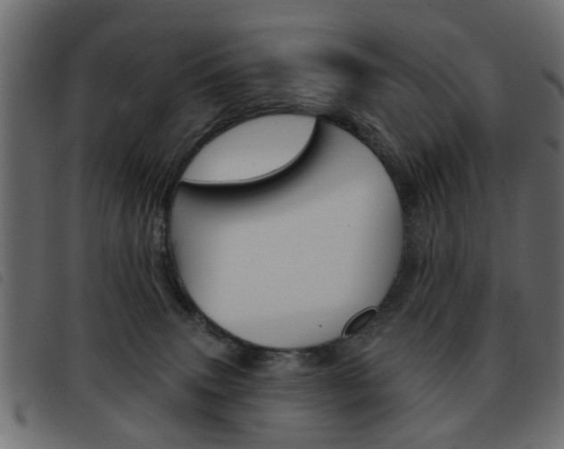 X0000093580083200710151006