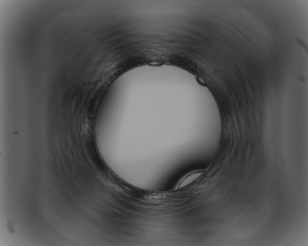 X0000093580084200710151006