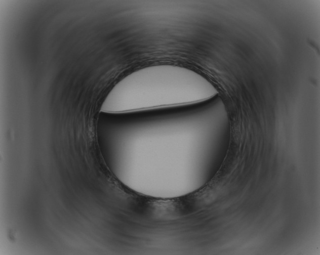 X0000093580085200710151006