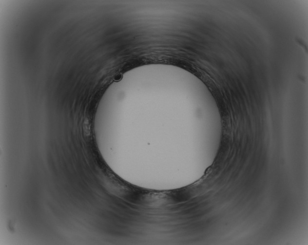 X0000093580086200710151006