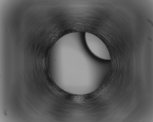 X0000093580088200710151006