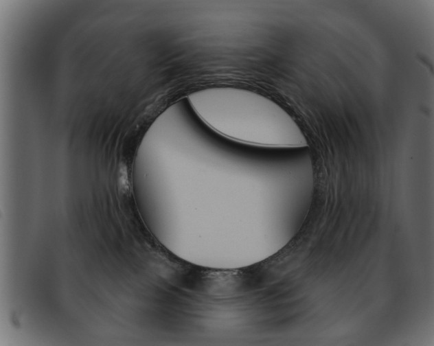 X0000093580089200710151006