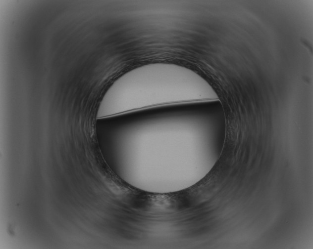 X0000093580091200710151006