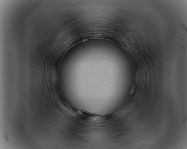 X0000093580092200710151006